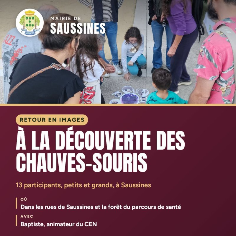 🦇 RETOUR SUR LA D&Eacute;COUVERTE DES CHAUVES-SOURIS du 02 octobre🦇