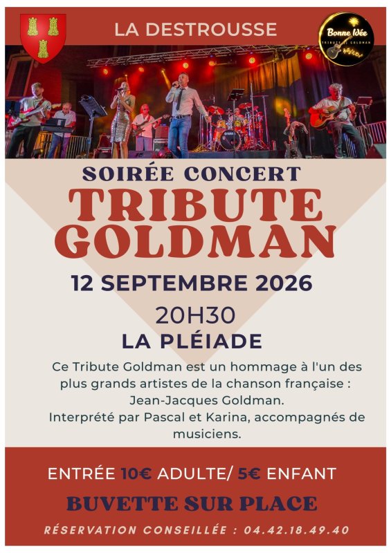 Soir&eacute;e concert : Tribute Goldman