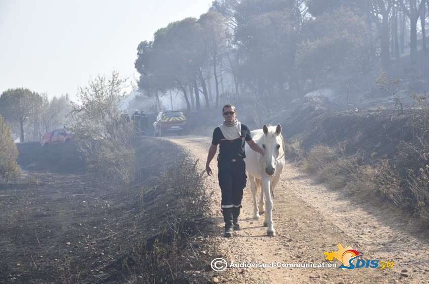 📢 [ 𝗣𝗥𝗘́𝗩𝗘𝗡𝗧𝗜𝗢𝗡 - 𝗣𝗥𝗢𝗣𝗥𝗜𝗘́𝗧𝗔𝗜𝗥𝗘𝗦 𝗗'𝗔𝗡𝗜𝗠𝗔𝗨𝗫 ] - 🐴🐎🐑🐐