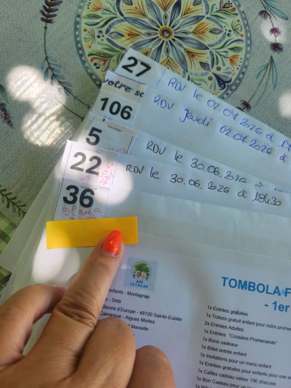 TOMBOLA APE