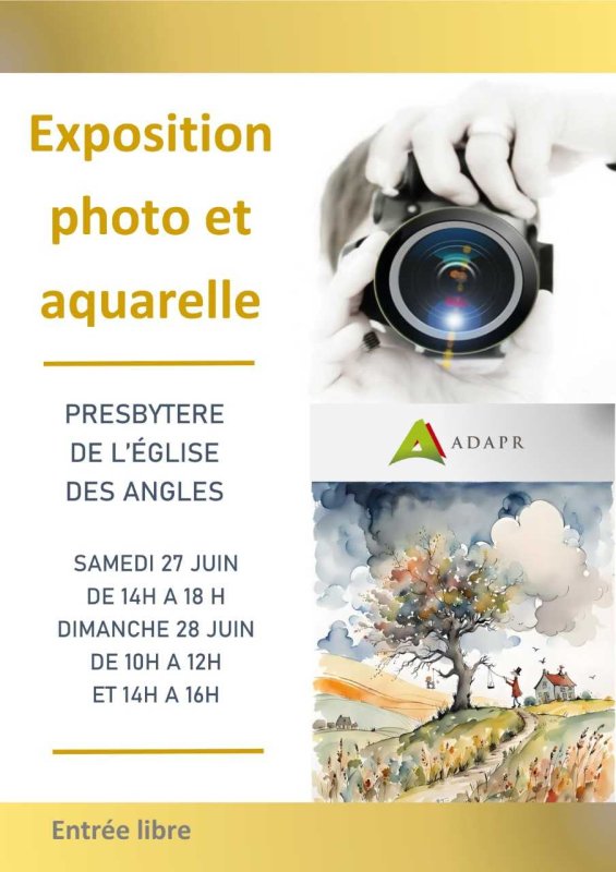 Exposition