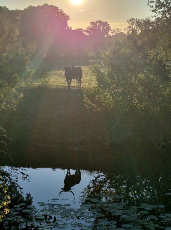 📷&Agrave; contre-jour, oui &hellip; &agrave; contre-courant, jamais !