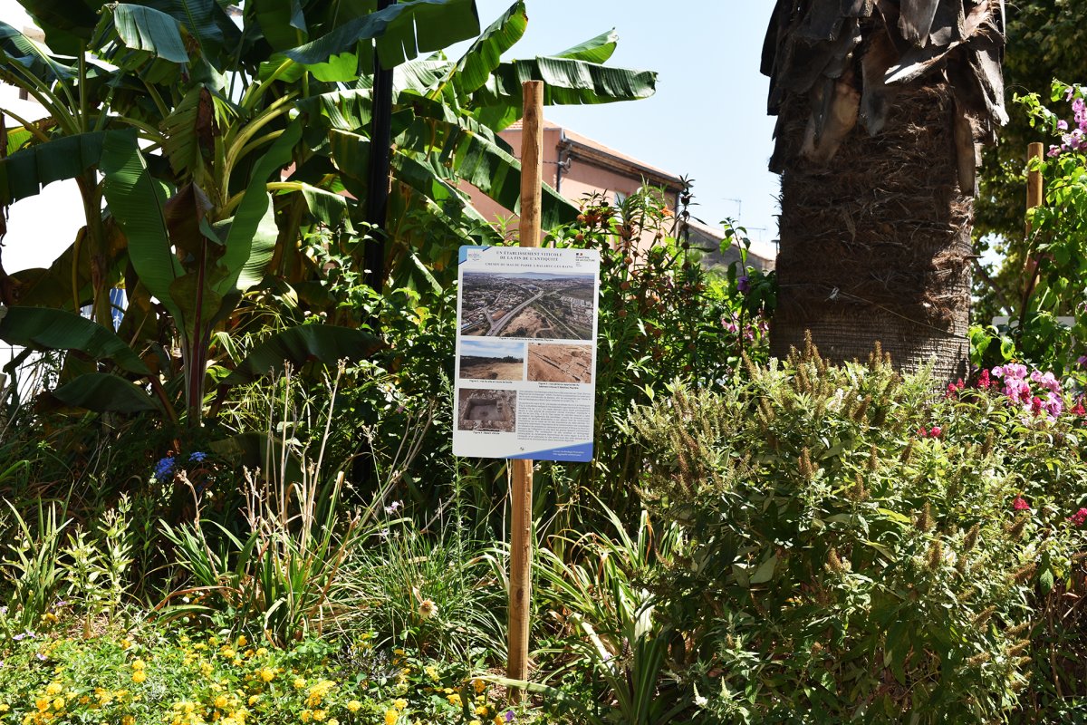 Exposition arch&eacute;ologie : Balaruc remonte te temps