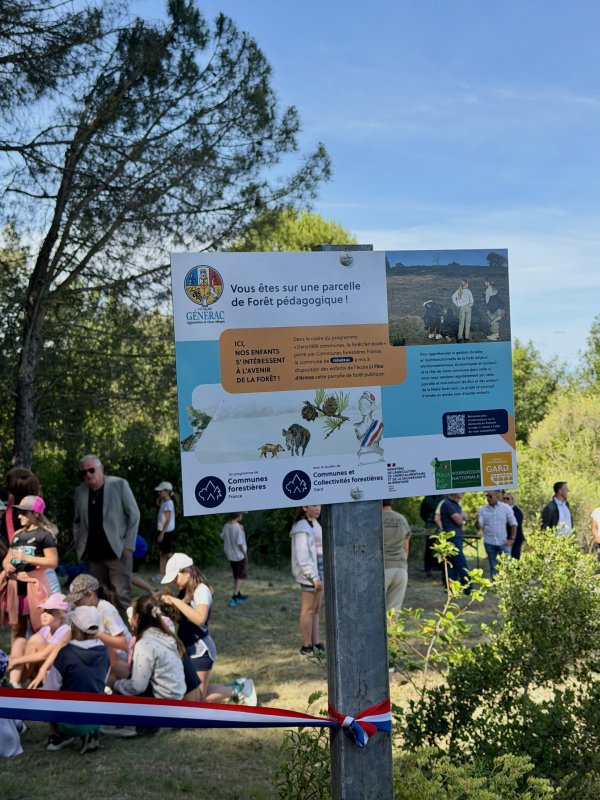 📸 [ 𝗜𝗡𝗔𝗨𝗚𝗨𝗥𝗔𝗧𝗜𝗢𝗡 ] - 𝗙𝗢𝗥𝗘̂𝗧 𝗣𝗘́𝗗𝗔𝗚𝗢𝗚𝗜𝗤𝗨𝗘 🌳📚