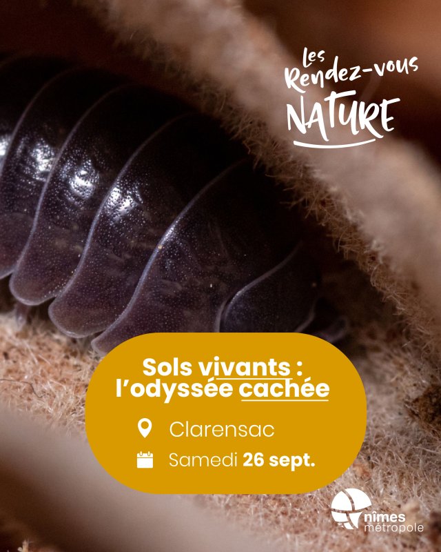 LES RENDEZ-VOUS NATURE  -  &laquo; SOLS VIVANTS : L&rsquo;ODYSS&Eacute;E CACH&Eacute;E &raquo;