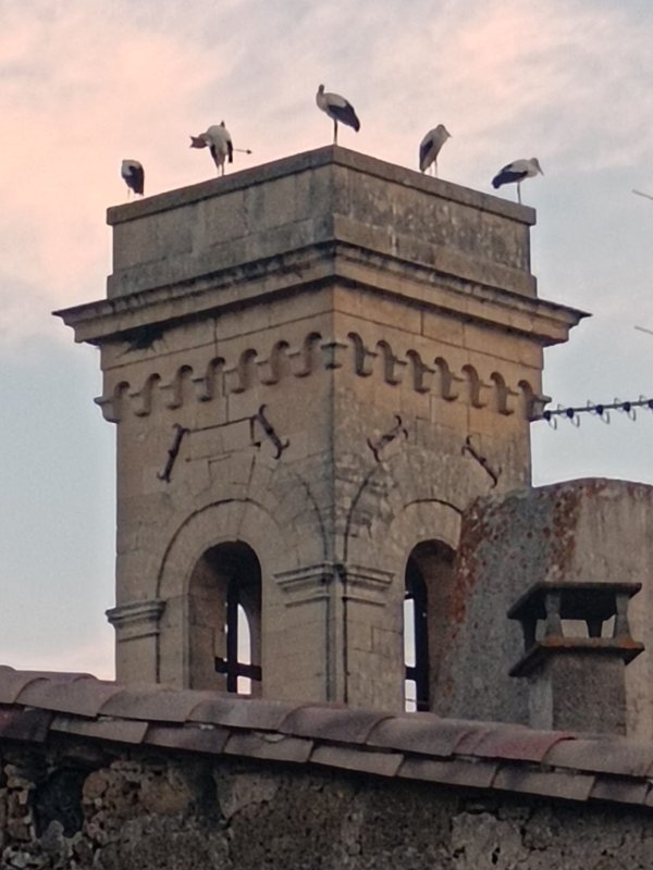 LES CIGOGNES