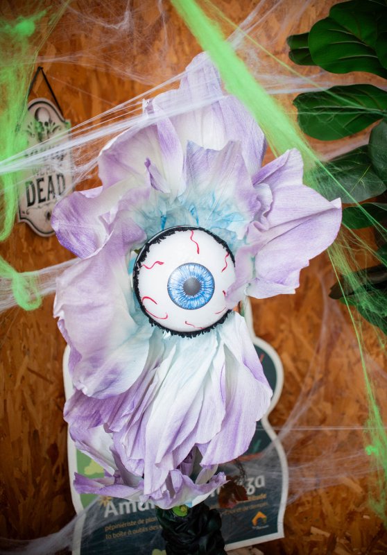 On vous a &agrave; l&rsquo;&oelig;il&hellip; 👁️