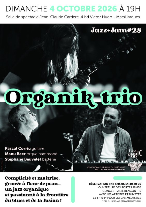 JAZZ+JAM #28 / ORGANIK TRIO