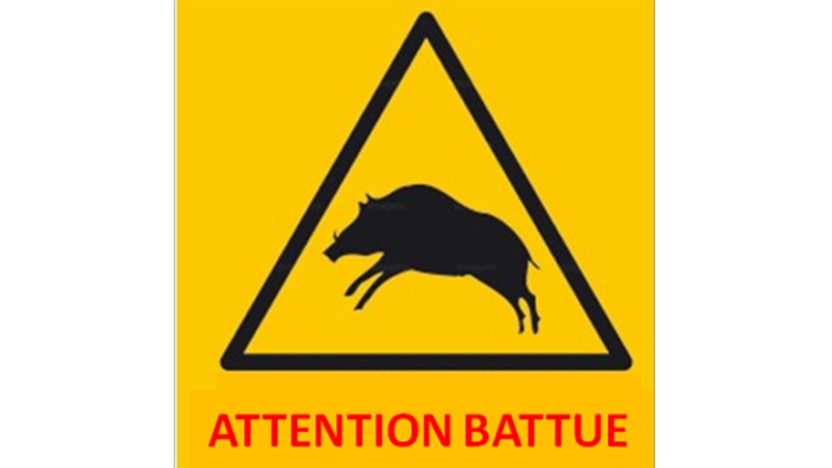 BATTUE AUX SANGLIERS : SAMEDI 26 SEPTEMBRE 8h-12h. CHEMIN DU MOULIN D'EMPARE ET CENTRALE PHOTOVOLTAIQUE.