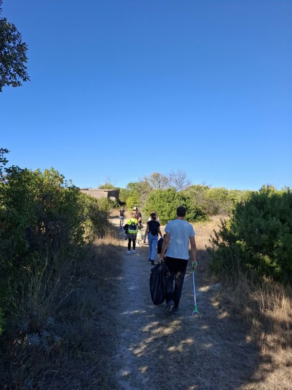 🌿 Retour sur la marche solidaire 🌿