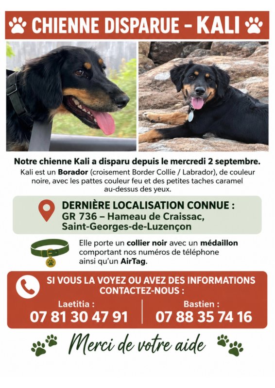 RECHERCHE &Eacute;LARGIE &ndash; Chienne disparue en Aveyron &ndash; KALI &ndash; Merci de diffuser