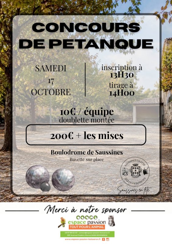 🎯 Concours de p&eacute;tanque 🎯