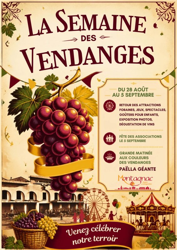 🍇 LA SEMAINE DES VENDANGES &Agrave; MONTAGNAC ! 🍇
