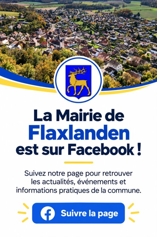 Facebook ou  Flax'book?