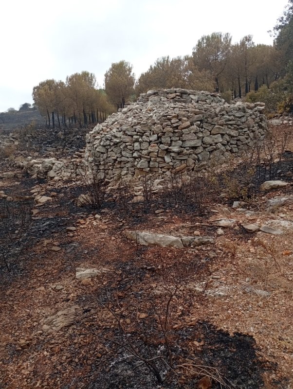 Les capitelles de la combe du Cayla ont eu chaud !