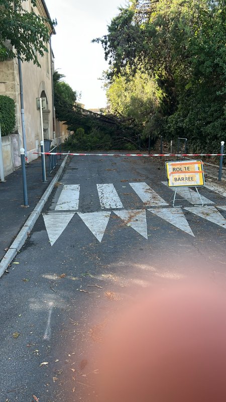 SUITE AUX INTEMPERIES