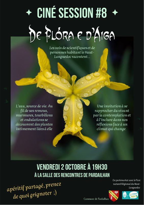 CINE SESSION  - PNRHL -  02/10/2026