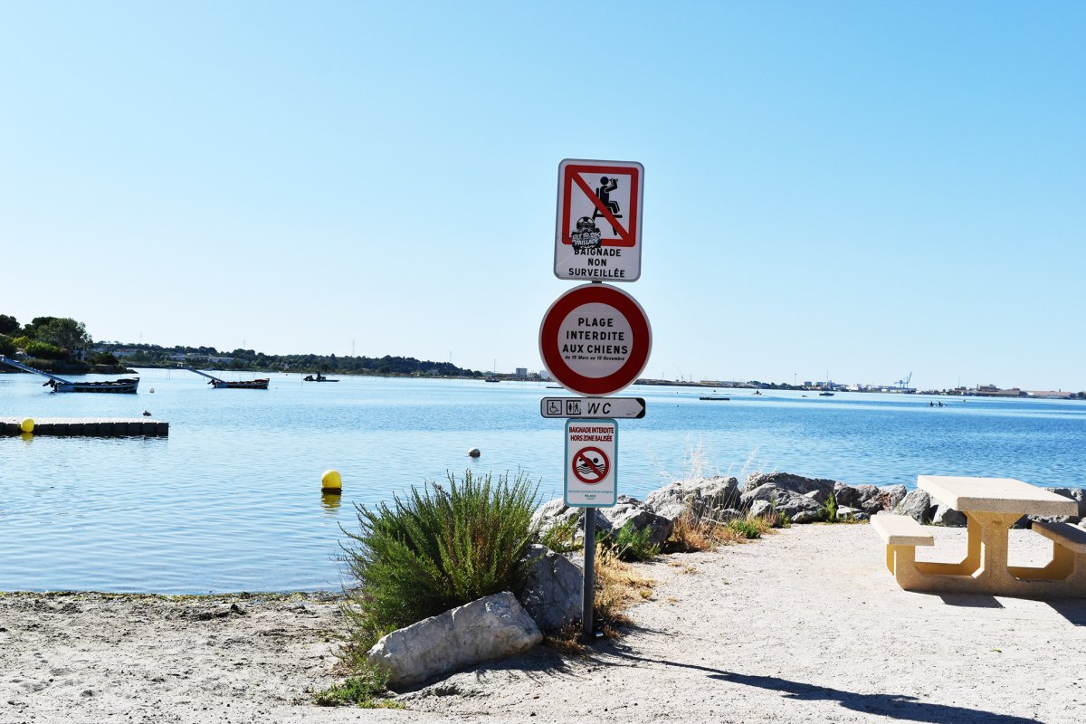 Plages de Balaruc-les-Bains : les chiens n'y sont pas autoris&eacute;s