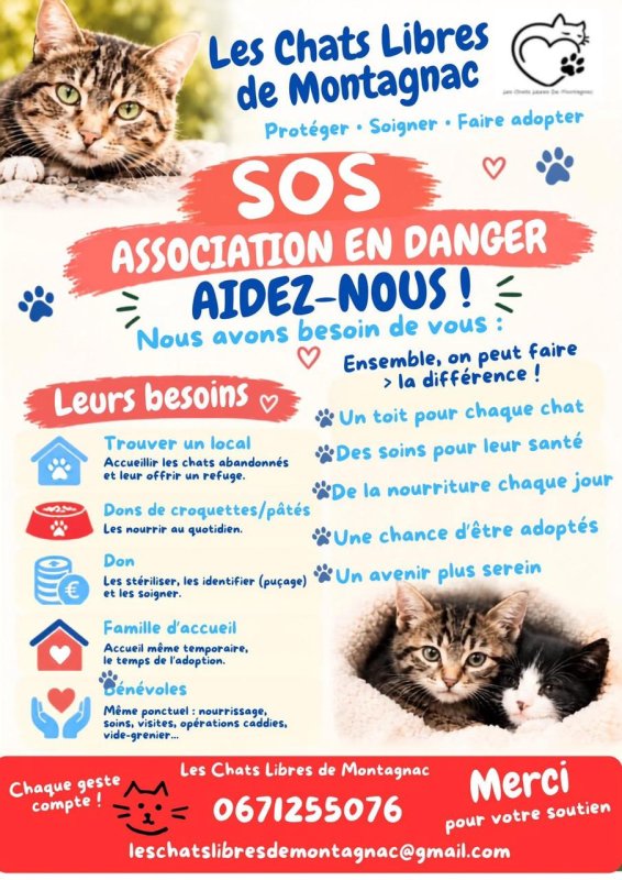 Chats Libres de Montagnac : Appel aux dons !