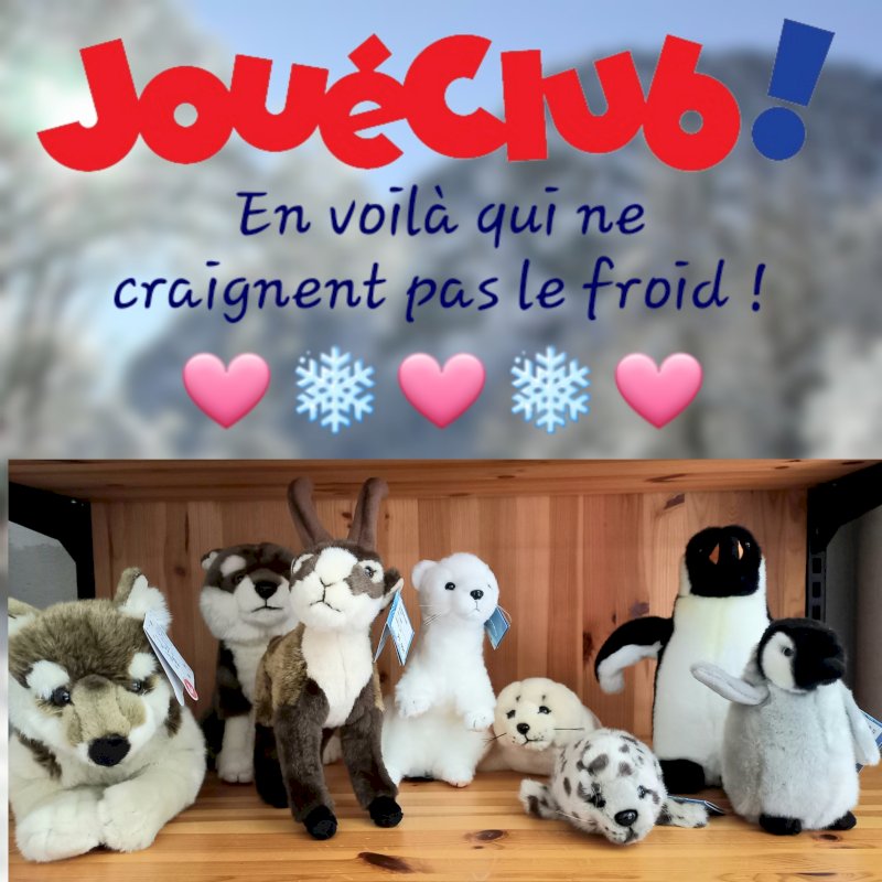 JouéClub - Peluches