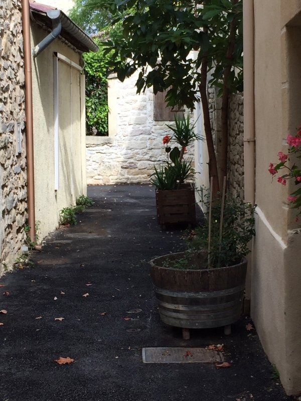 Entretien des jardinières