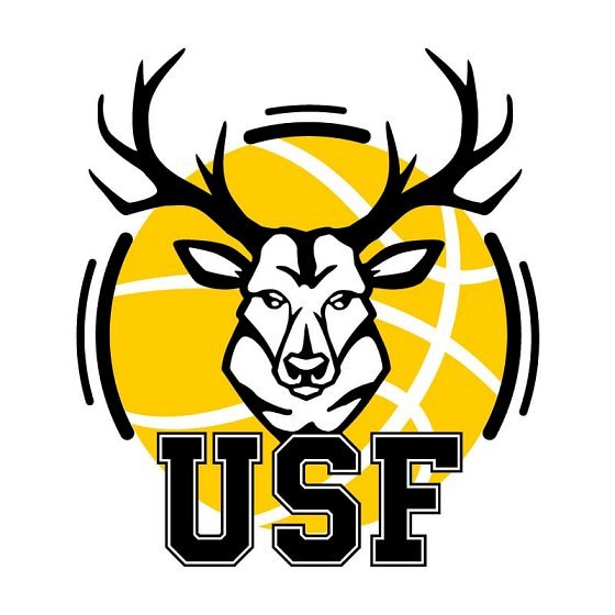 USF Basket masculins