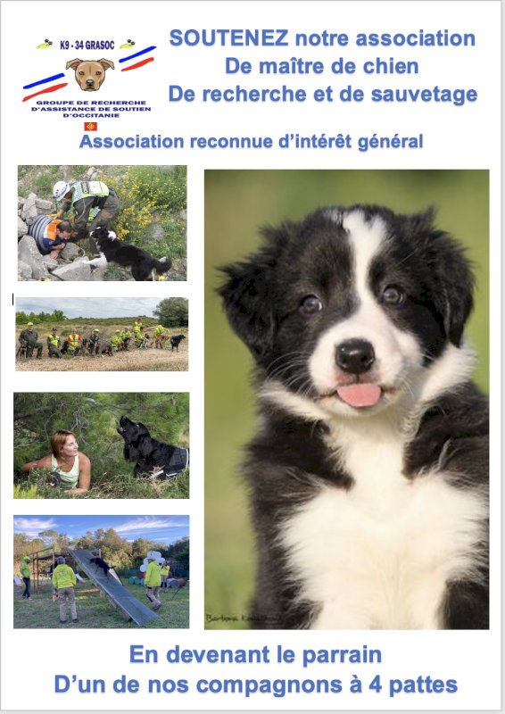 🐈 🐈 🐈   Parrainez un de nos chiens des recherche et de sauvetage  🐈 🐈 🐈