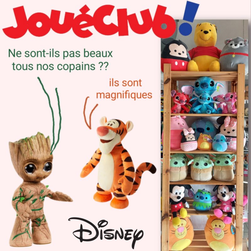 JouéClub - Disney
