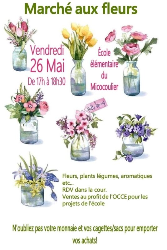 Marché aux fleurs vendredi 26 mai école Micocoulier