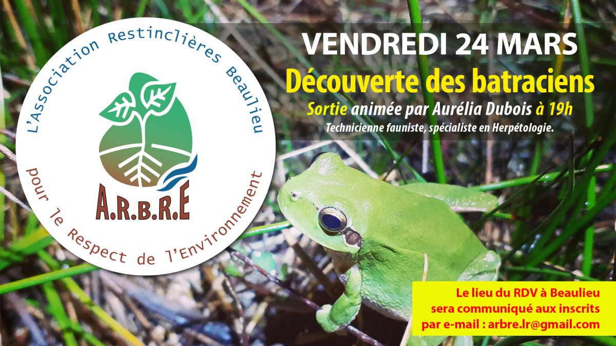 Sortie à la découverte des batraciens avec l'A.R.B.R.E.