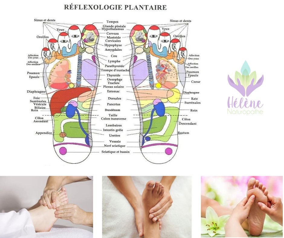 Le pied et la réflexologie plantaire