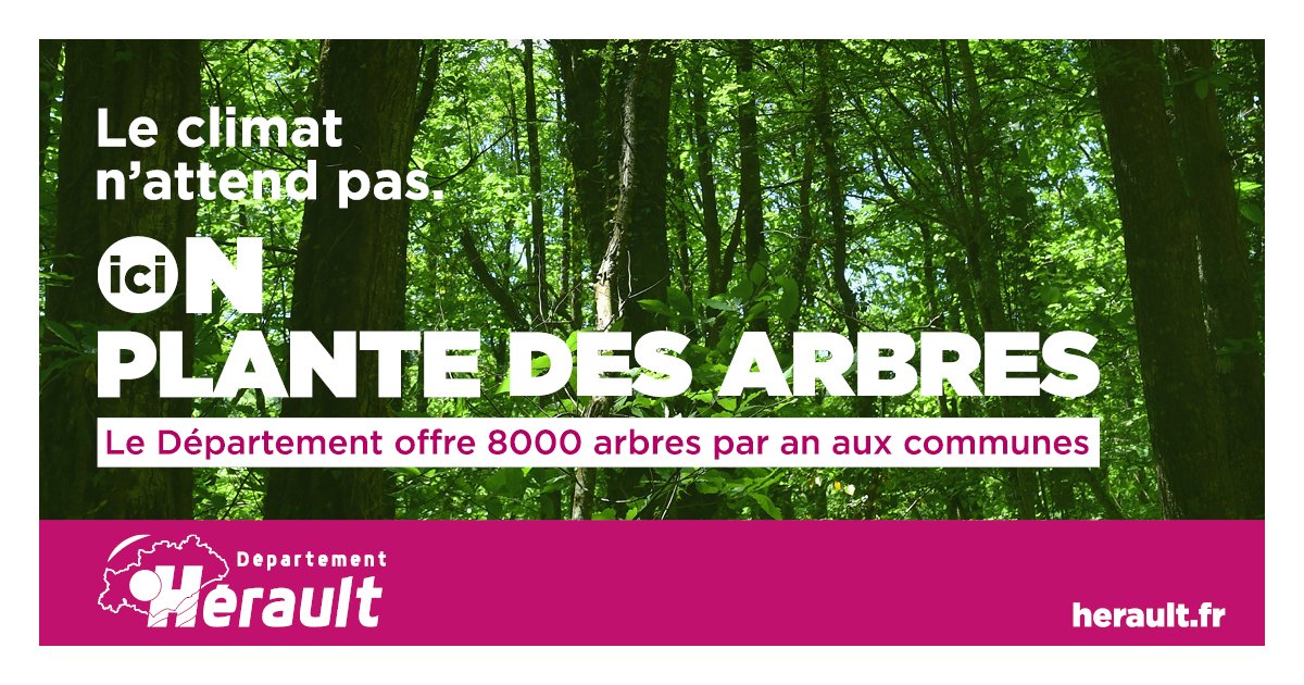🚧 Travaux d’aménagement des espaces verts du 30 novembre au 8 décembre 2023