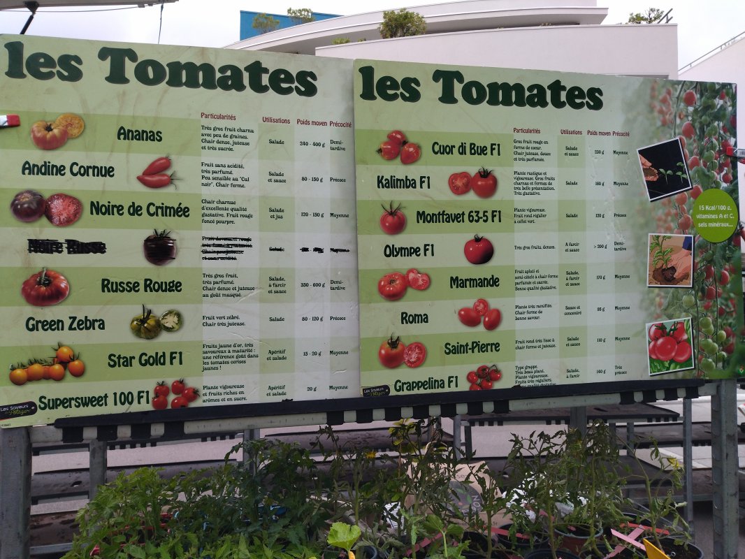 🍅les tomates 🍅