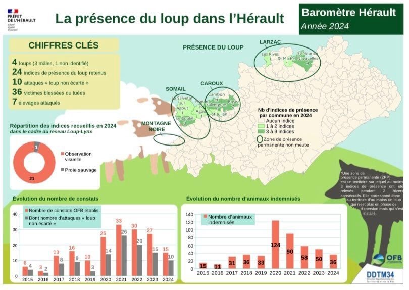 La présence du loup dans l'Hérault