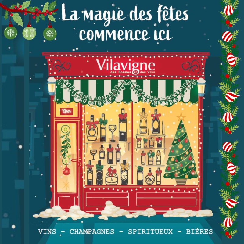 LE COUP DE POUCE DE  NOËL CHEZ VILAVIGNE GÉNÉRAC ! 🎁✨🎄