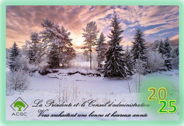 voeux 2025