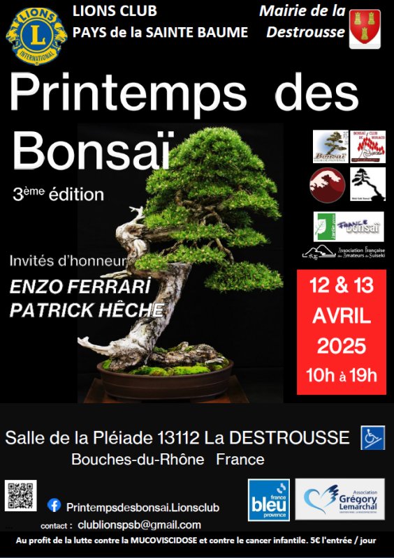 Printemps des bonsai 2025 du 12 au 13 AVRIL 2025