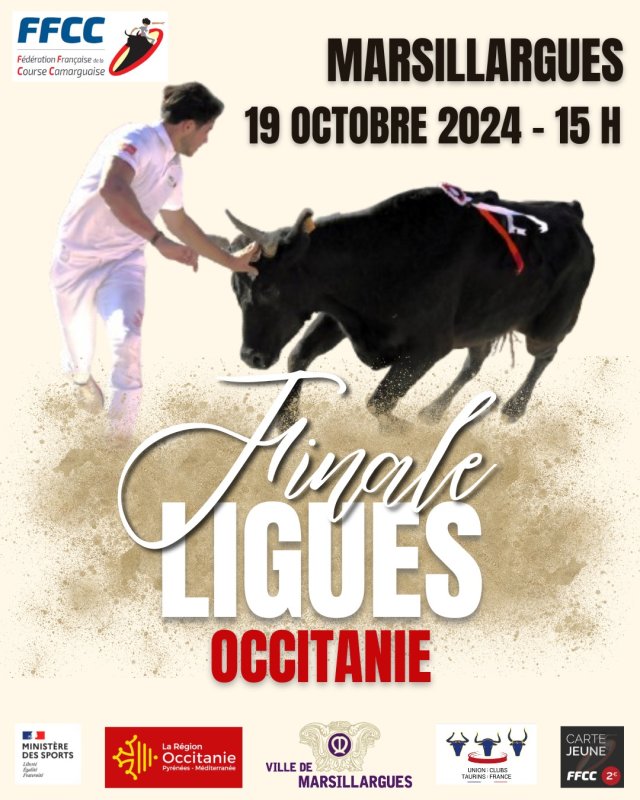 Finale Ligues Occitanie