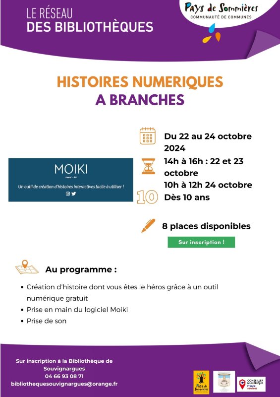 Histoires numériques à branches
