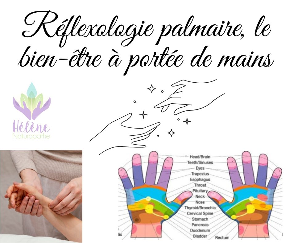 Réflexologie palmaire