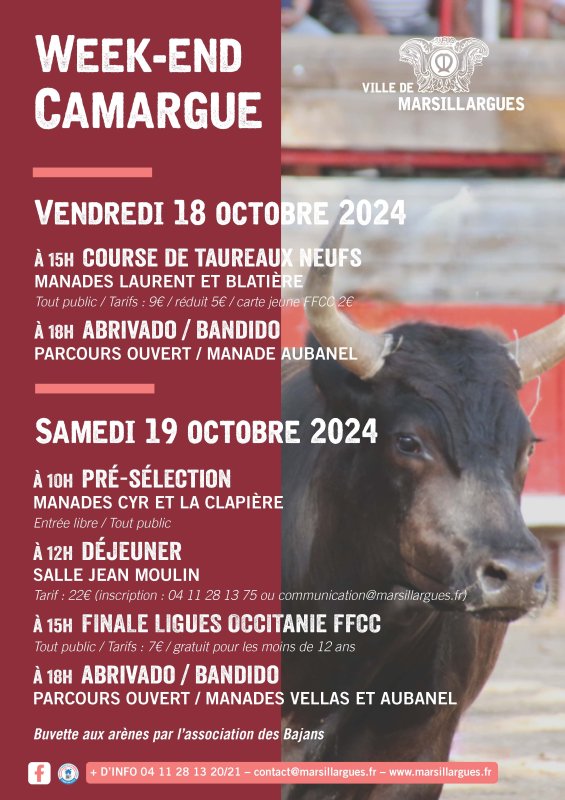 WEEK-END CAMARGUE