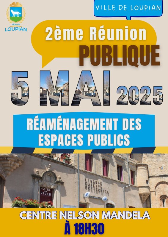 Réunion publique au Centre Nelson Mandela