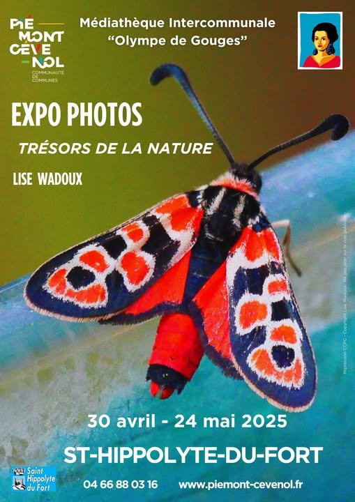 Exposition photo "Faune et flore" de Lise Wadoux