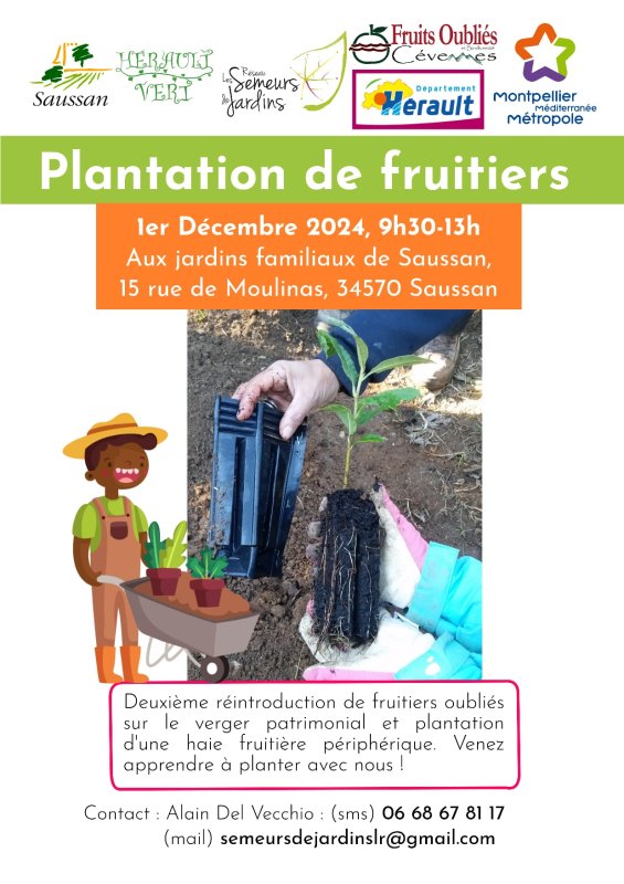 Plantation de fruitiers