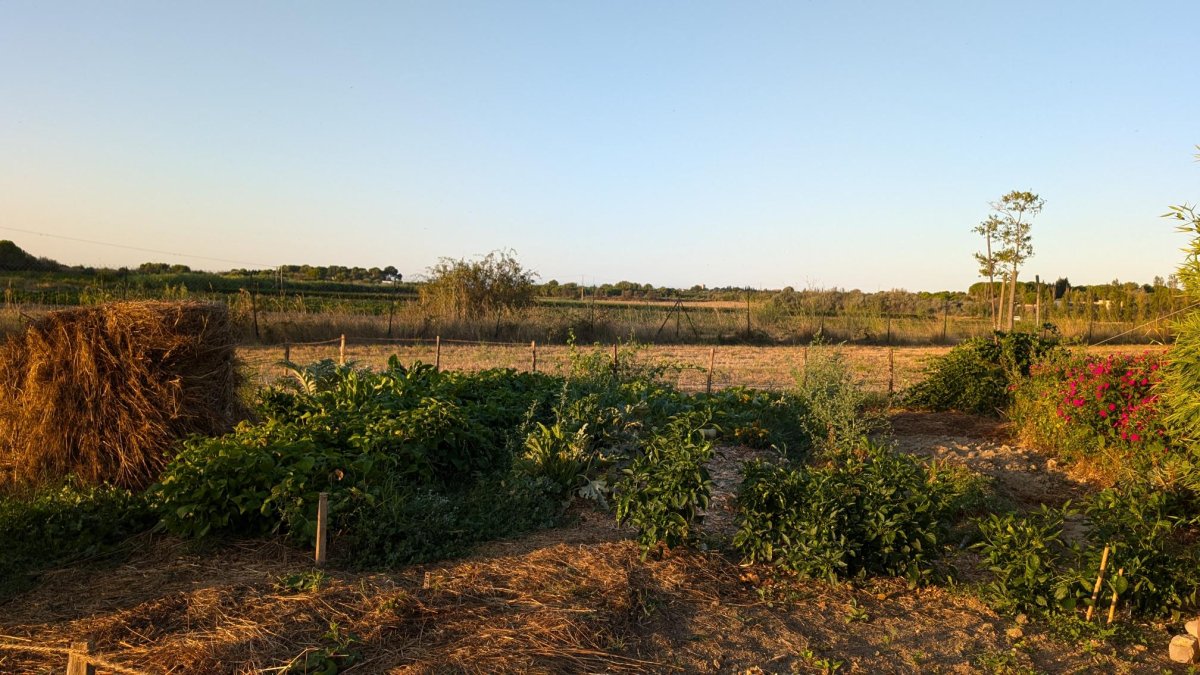 Parcelles disponibles dans notre jardin partagé !