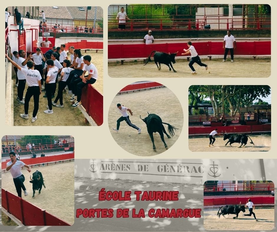 📢📢 [ 𝗘́𝗖𝗢𝗟𝗘 𝗧𝗔𝗨𝗥𝗜𝗡𝗘 ] - 𝗖𝗢𝗨𝗥𝗦𝗘 𝗗'𝗘𝗡𝗧𝗥𝗔𝗜̂𝗡𝗘𝗠𝗘𝗡𝗧
