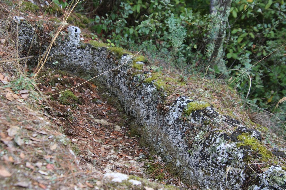 Matinée de finalisation du chemin des Carriers