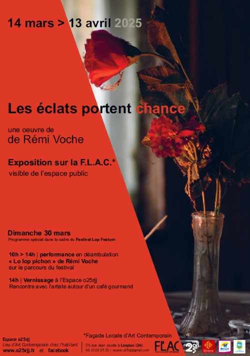 VERNISSAGE | "Les éclats portent chance" de Rémi Voche