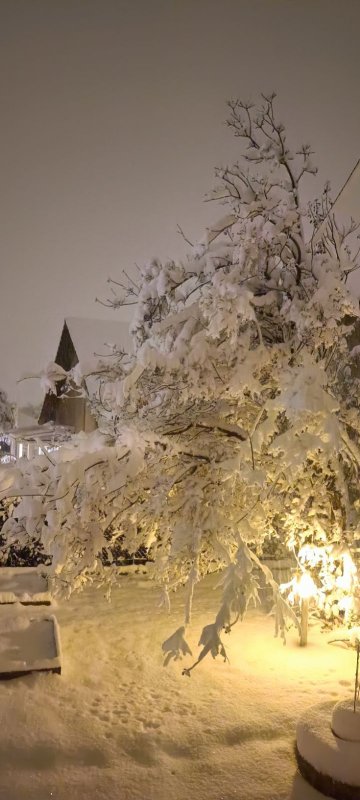 Bravo pour le déneigement