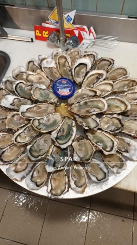 🦐🦀🦪🦞